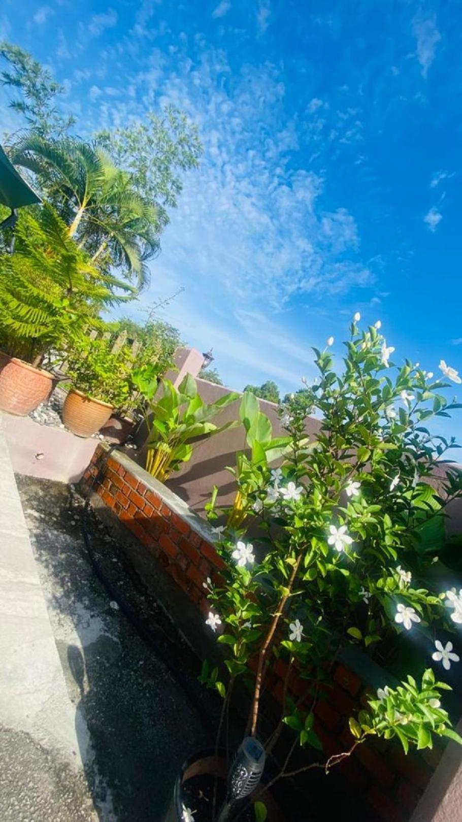 Motel Seri Mutiara Kuah Dış mekan fotoğraf